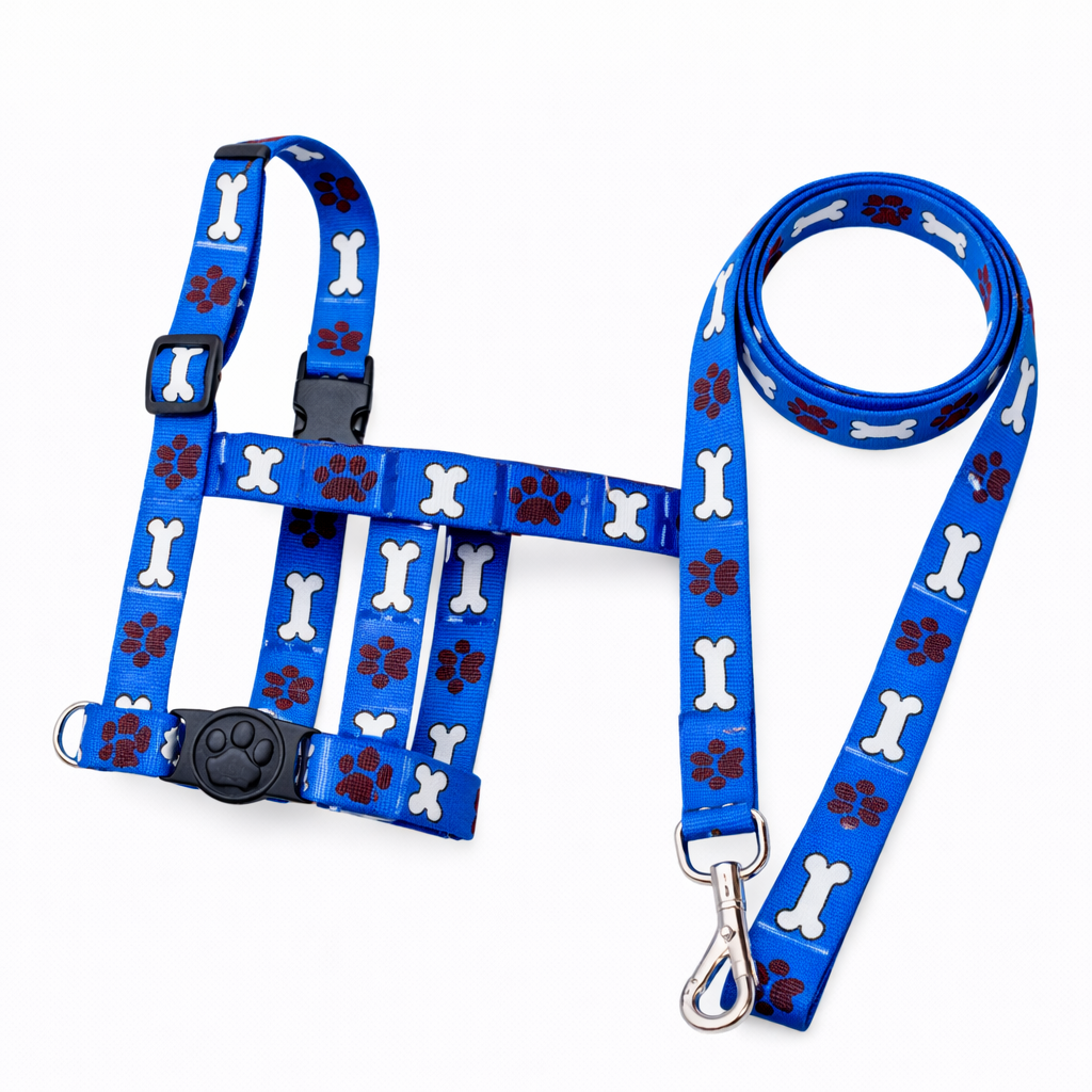 Peitoral + Guia Estampado azul