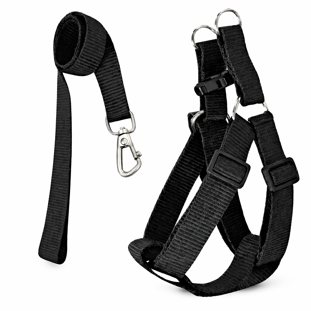 Peitoral Americano + Guia