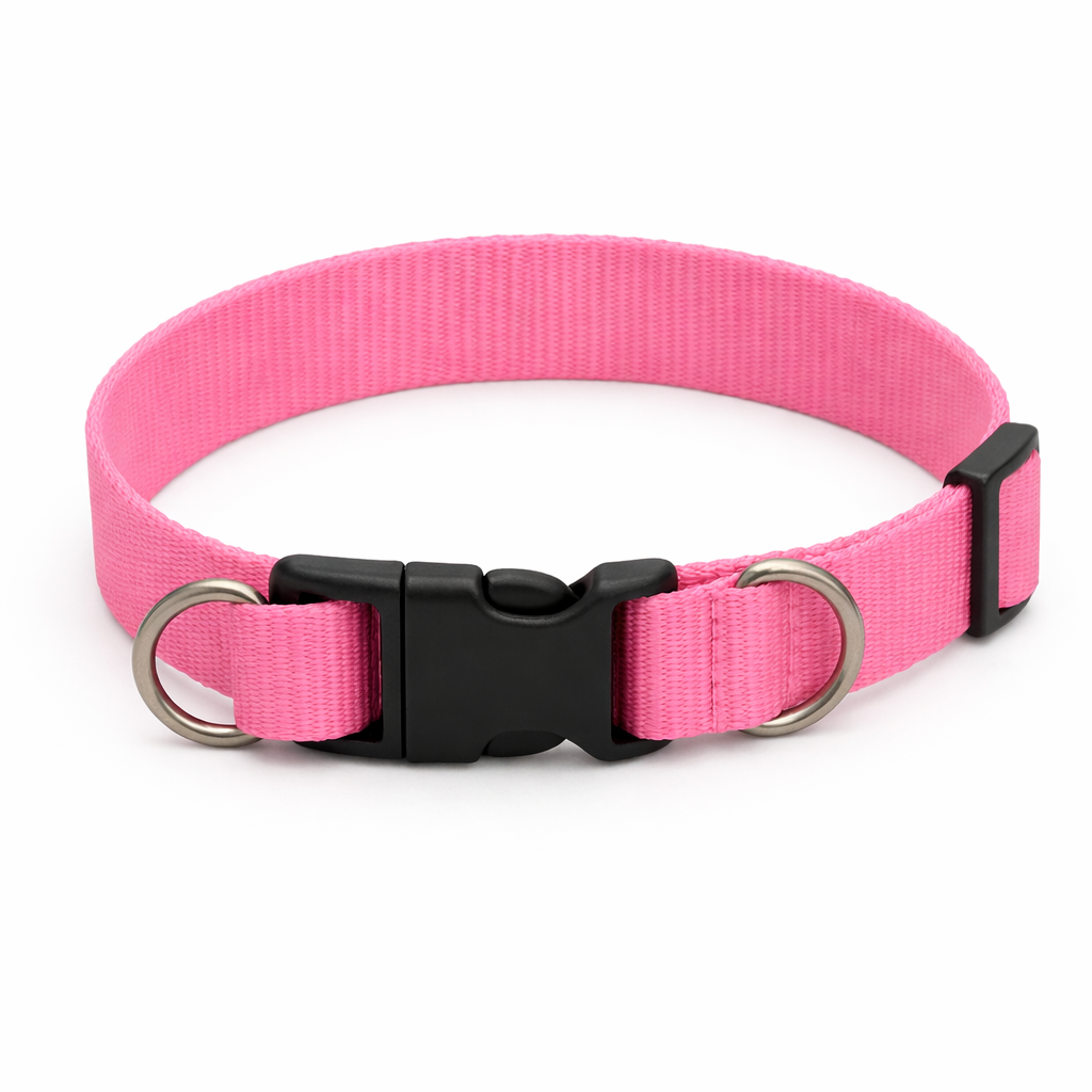 Coleira para Pet