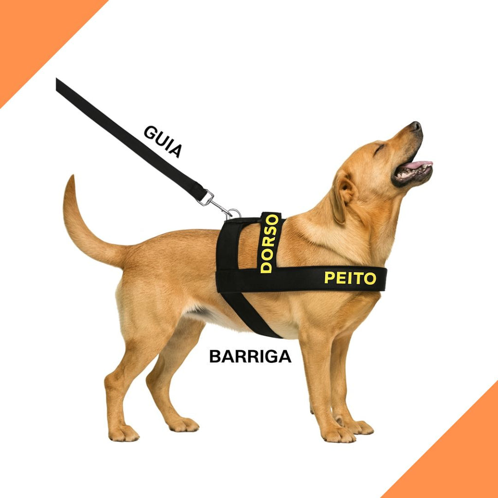 Coleira Peitoral + Guia - regulável e resistente