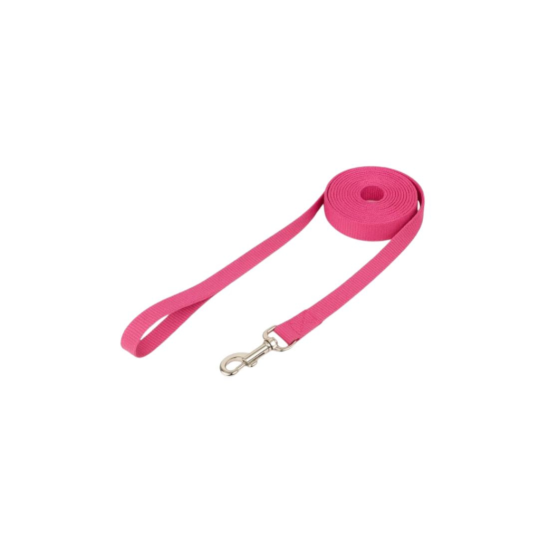 Guia de 10 metros para pet