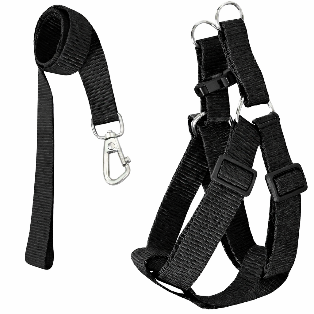 Peitoral Americano + Guia