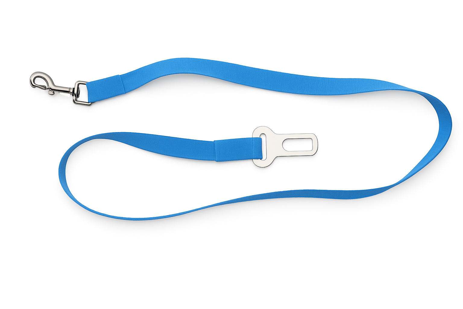 guia para pet no carro