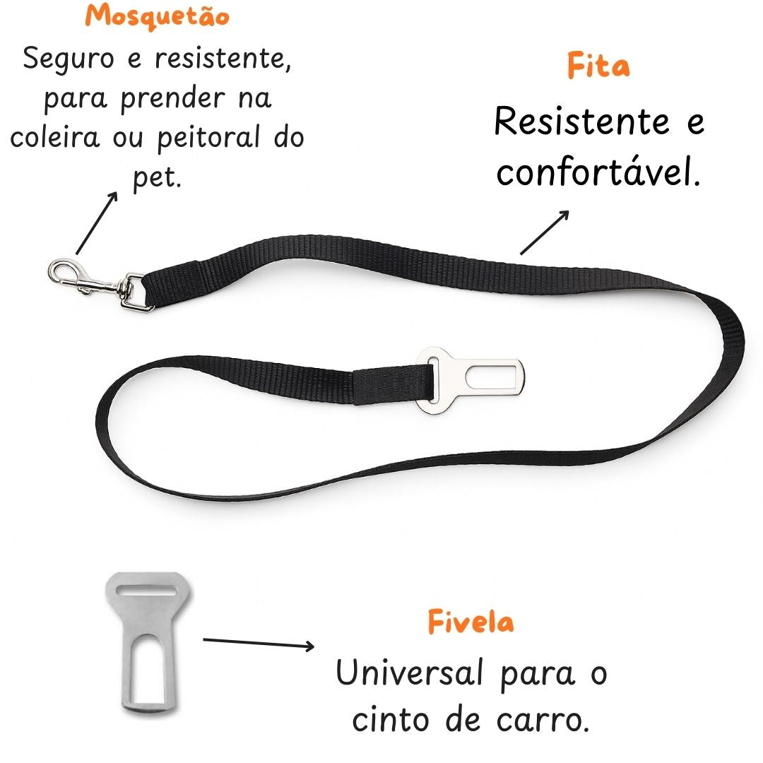 guia para pet no carro