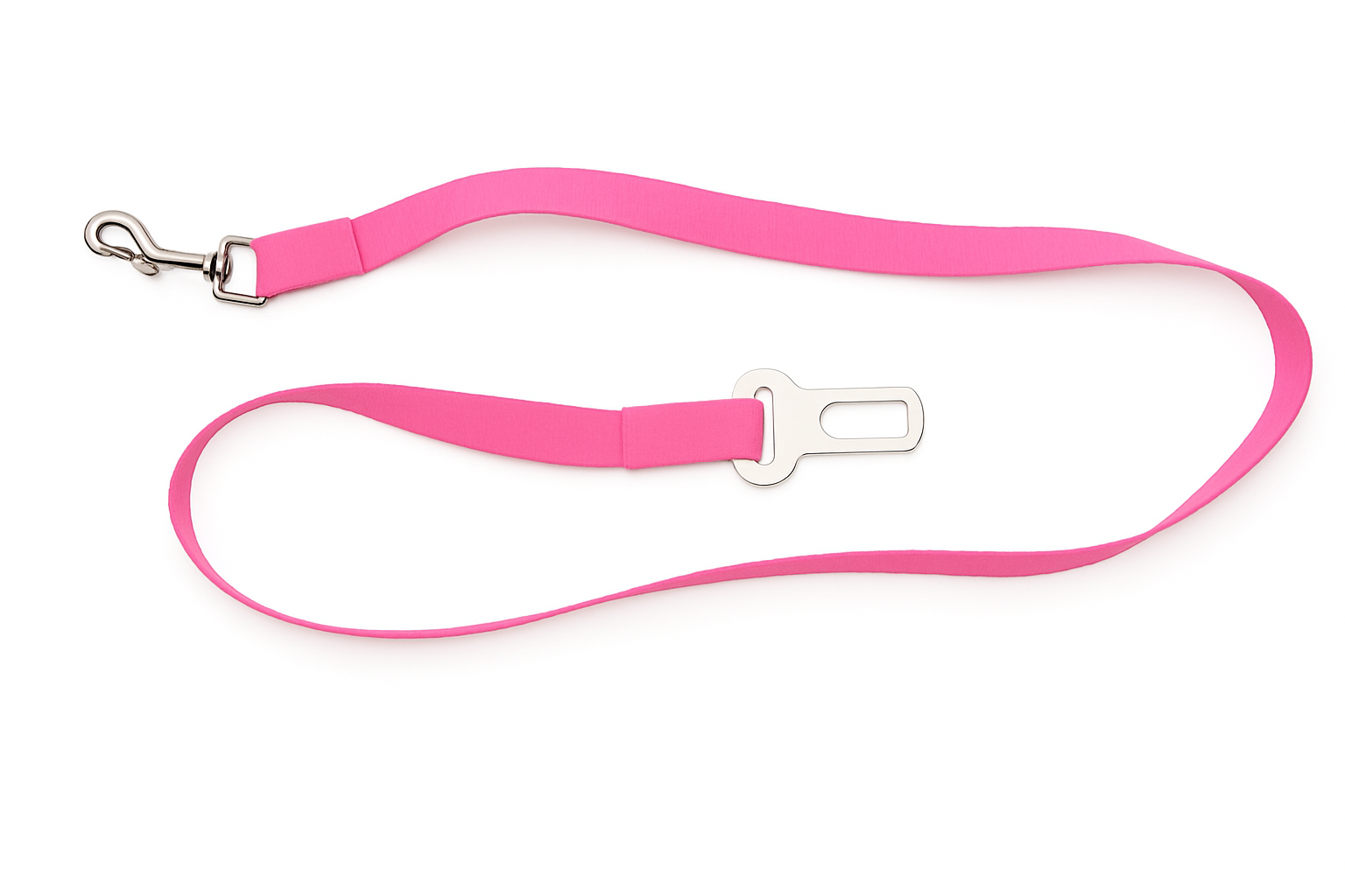 guia para pet no carro