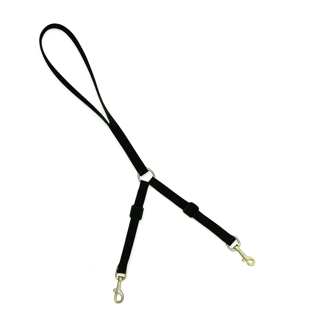 Guia dupla para 2 pets