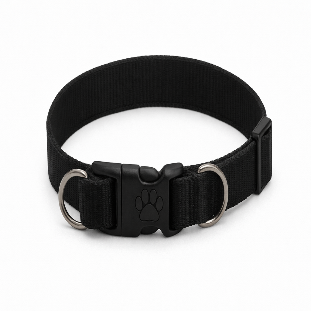 Coleira para Pet