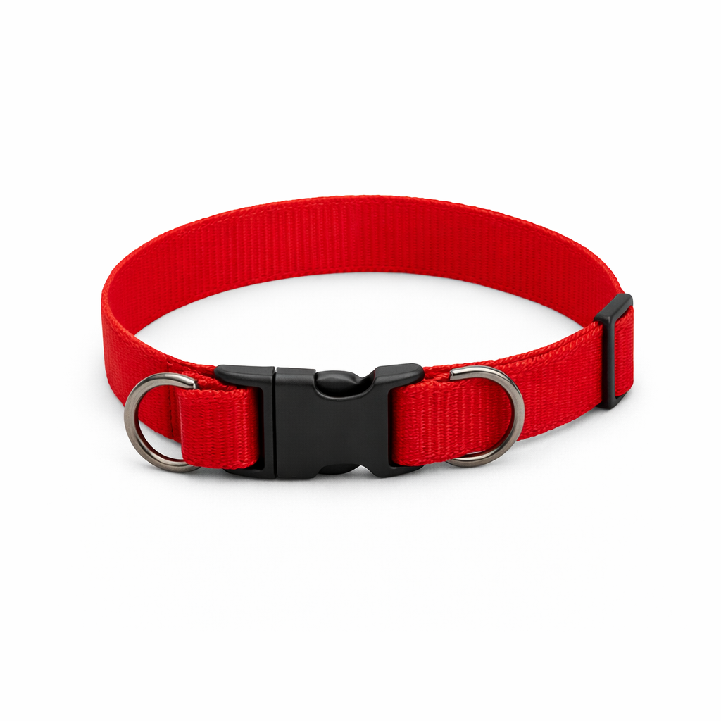 Coleira para Pet