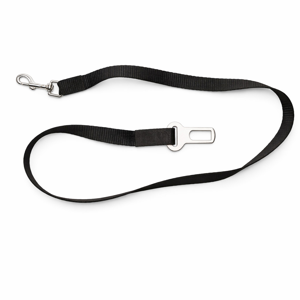 guia para pet no carro