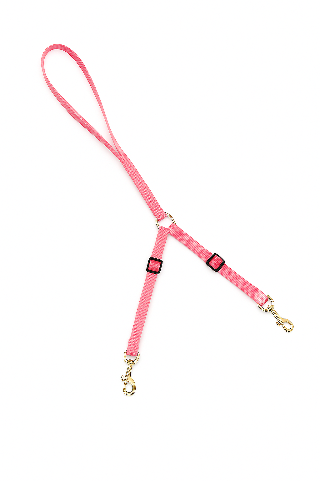 Guia dupla para 2 pets