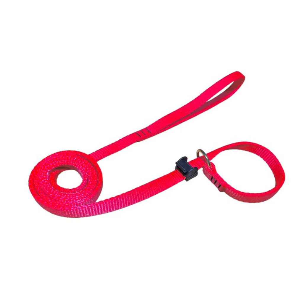 Coleira Guia regulável para cães e gatos