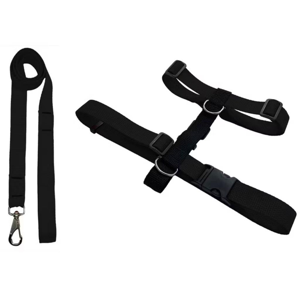 Coleira Peitoral H - Guia + Peitoral