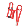 Coleira Peitoral + Guia - regulável e resistente