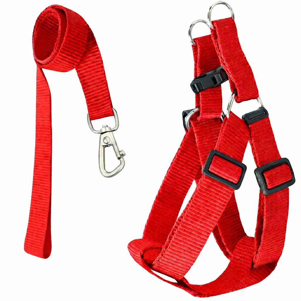 Peitoral Americano + Guia