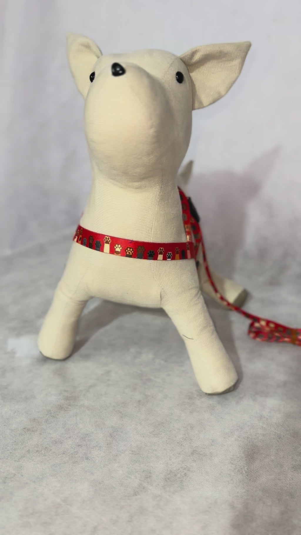 Coleira Peitoral + Guia - regulável e resistente