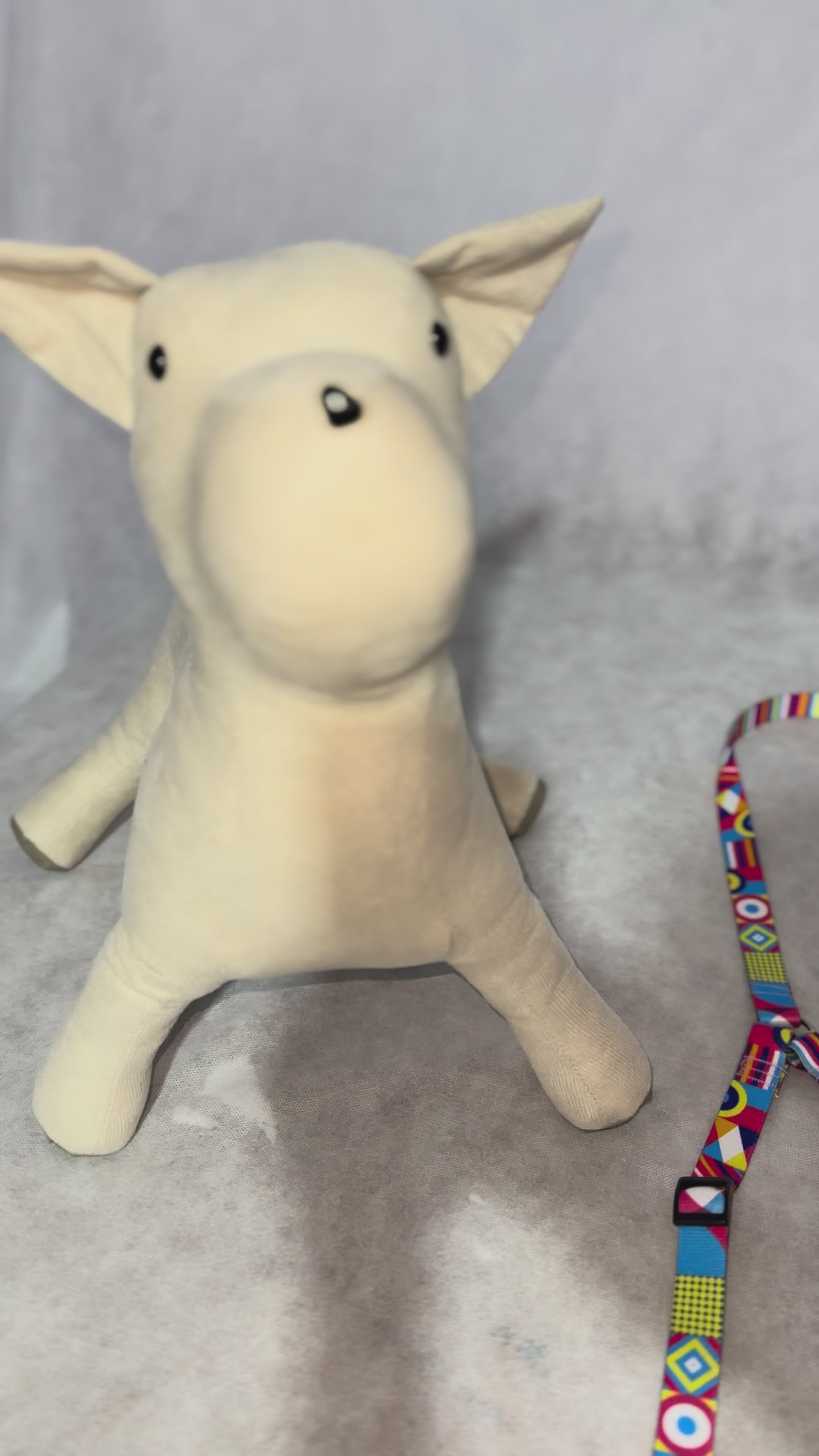 Guia dupla para 2 pets