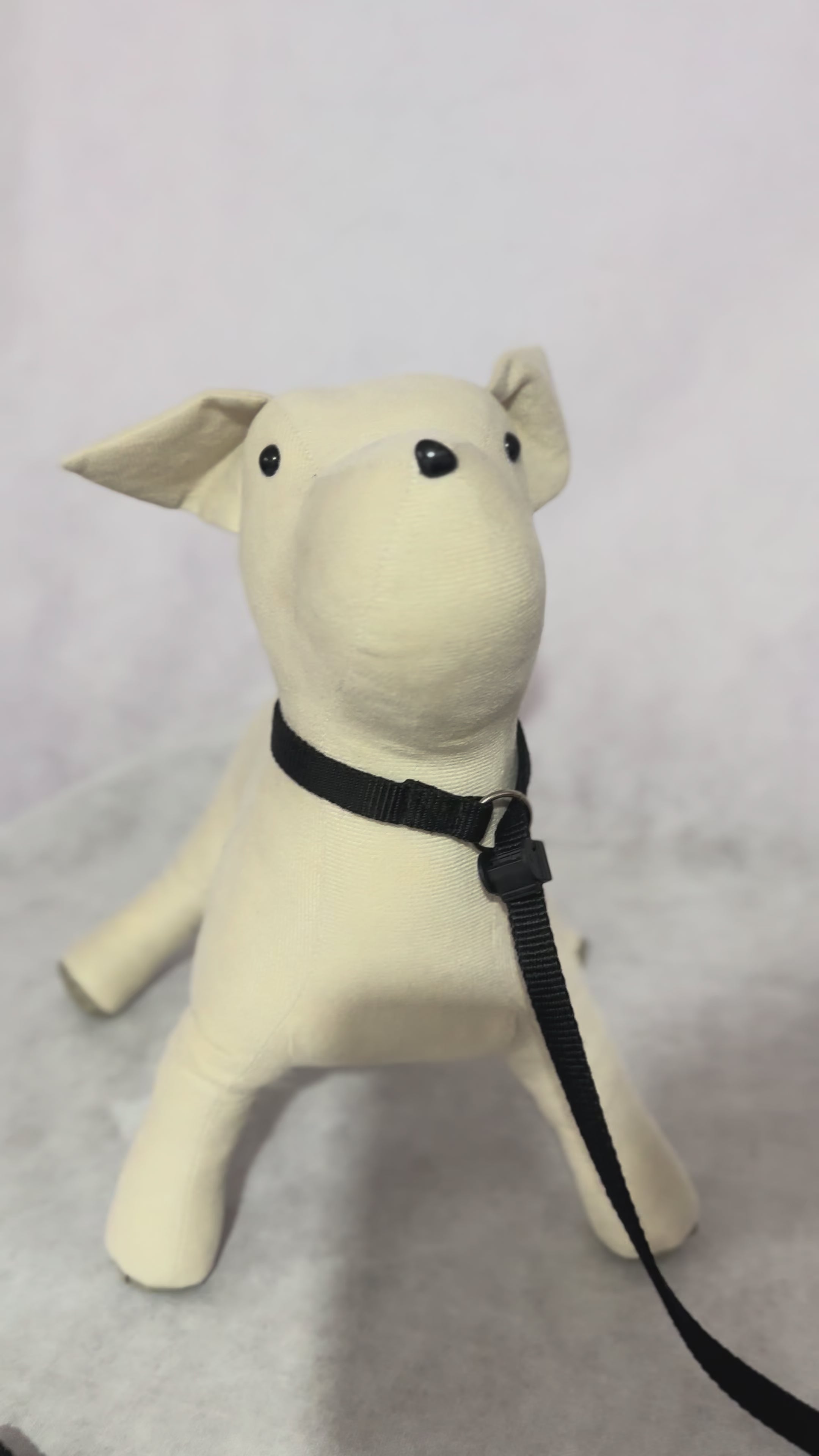 Coleira Guia regulável para cães e gatos