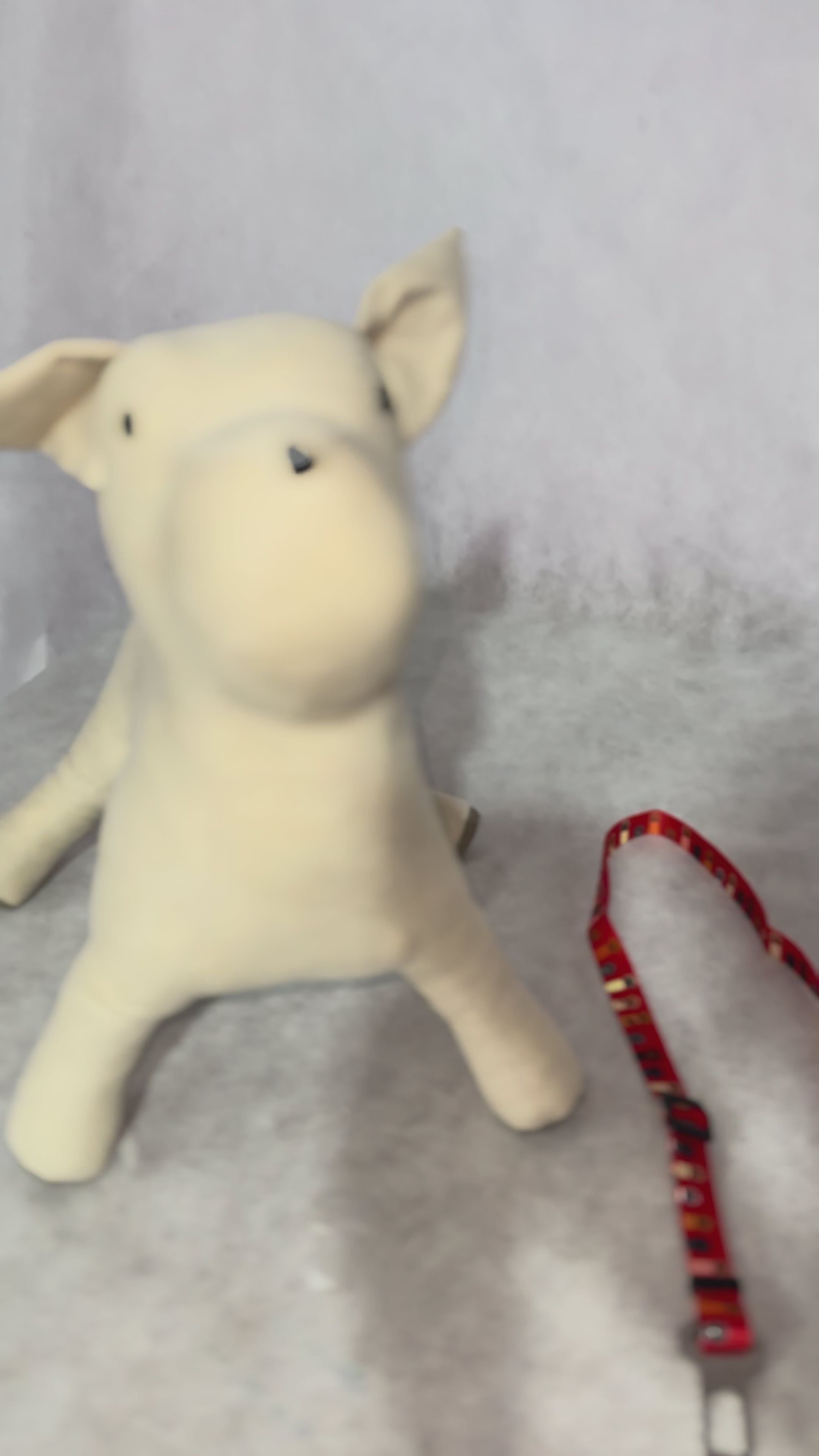 guia para pet no carro